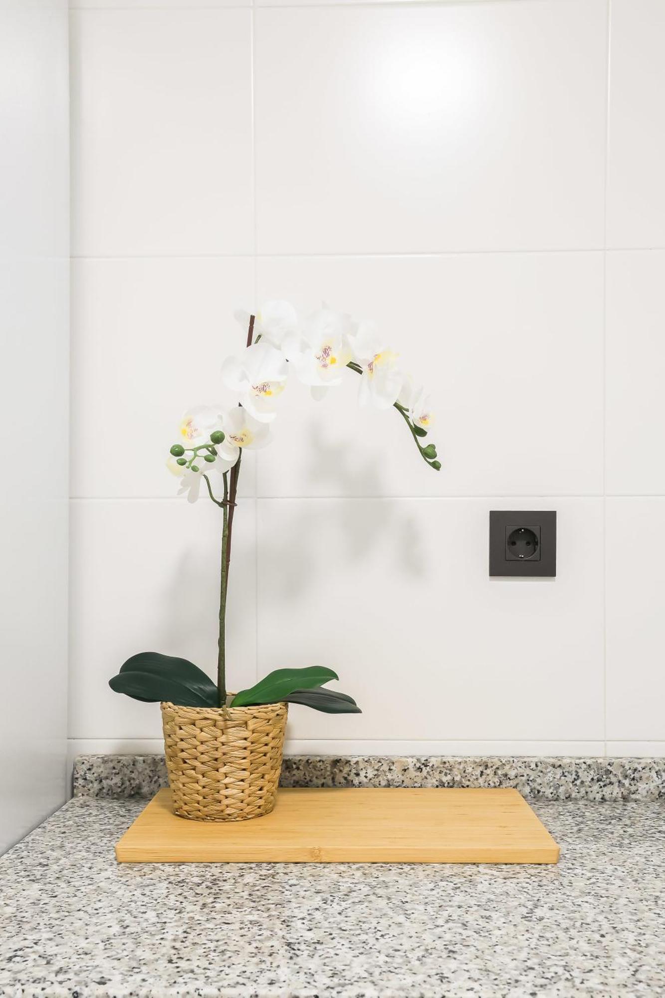 Apartamento Palermo Living Suites En Burriana Εξωτερικό φωτογραφία